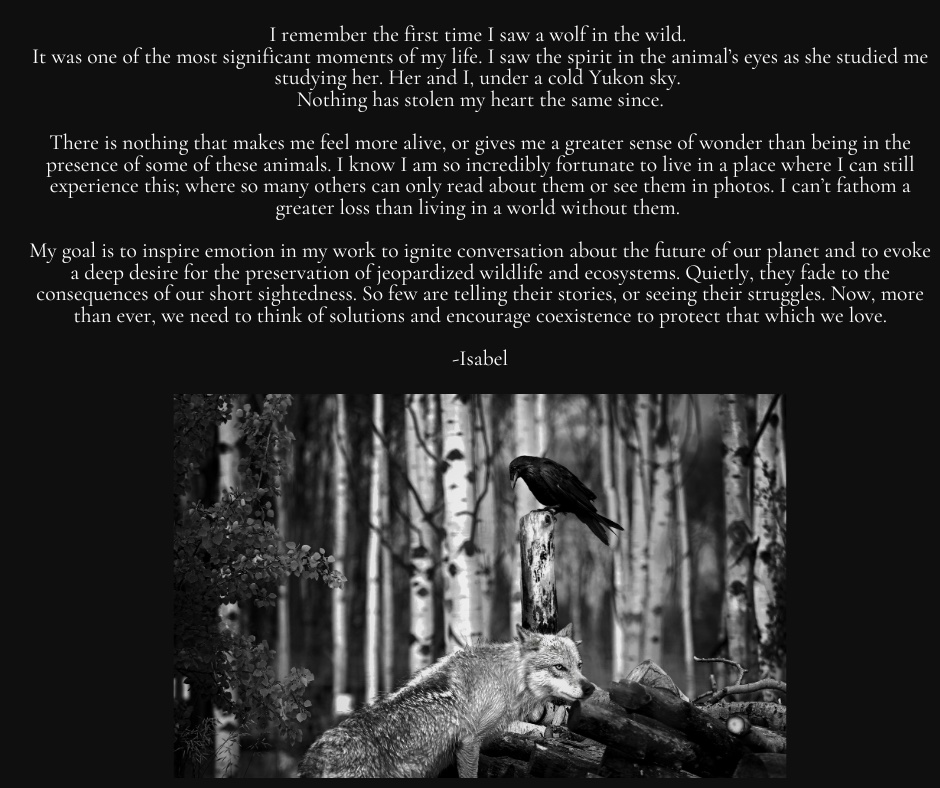 Wolf and Raven