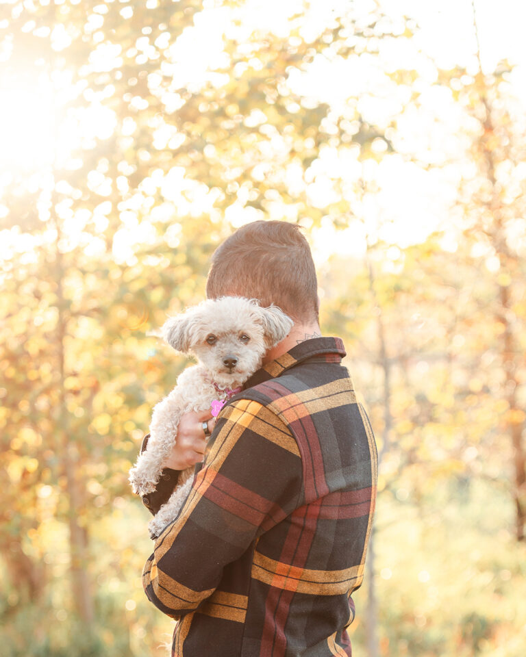 Pet Photography