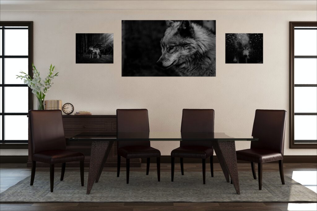 fine art display